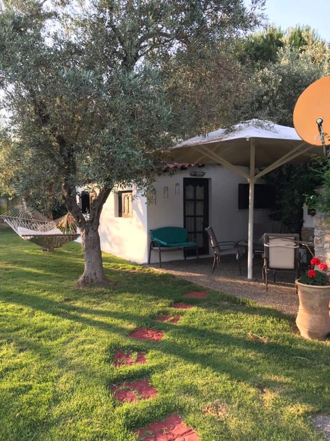 אפרטהוטל העיירה סקיאתוס Oasis מראה חיצוני תמונה